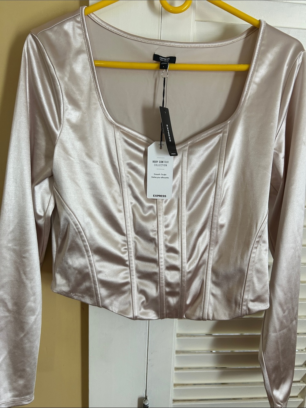 Express Satin Long-Sleeve Scoop Neck Top in Pale Blush